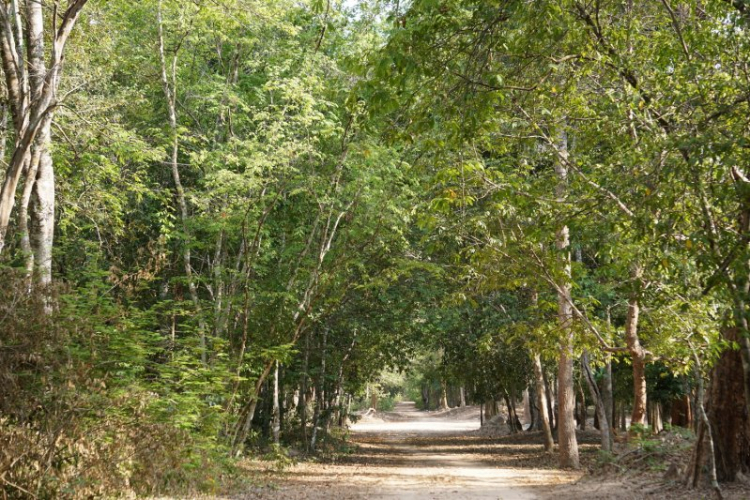 Tường thuật Caravan Hành Trình Di Sản Đền Preah Vihear – Angkor 2015 Tường thuật Caravan Hành Trình Di Sản Đền Preah Vihear – Angkor 2015