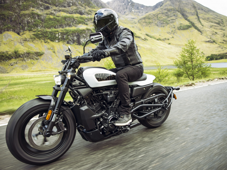 2021-Harley-Davidson-Sportster-S-RH1250S-39.jpeg