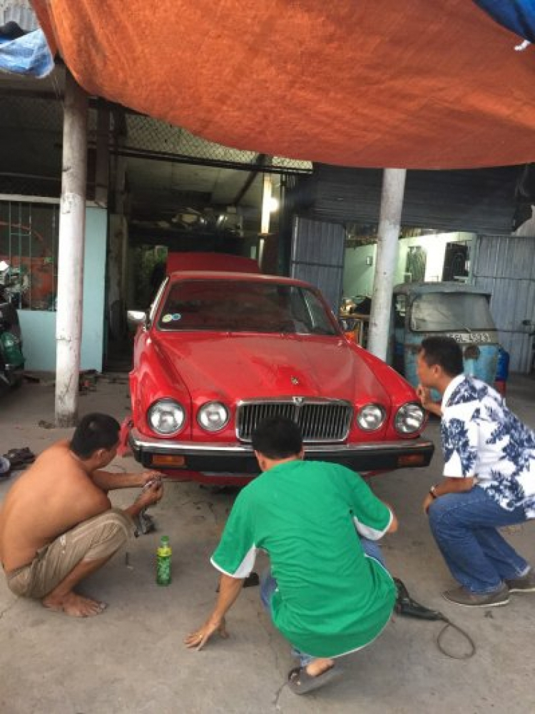 Tìm mua Grandis 2010 trở lên Tìm mua Grandis 2010 trở lên