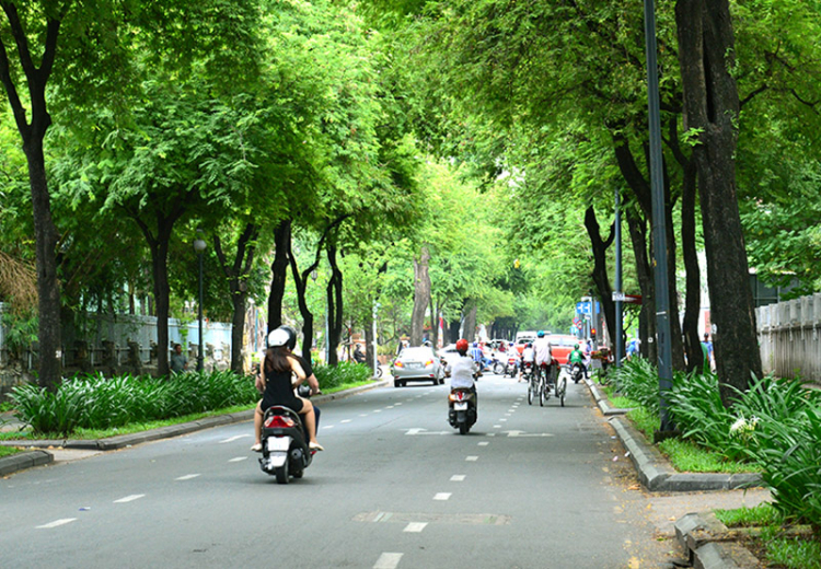 Những con đường đẹp nhất Sài Gòn TP.HCM