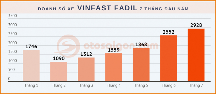 Fadil.jpg Fadil.jpg