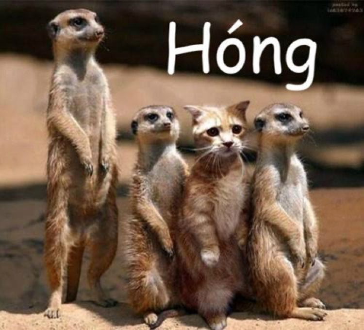 Hỏi về miếng cao su đệm thanh giằng bị biến dạng. Hỏi về miếng cao su đệm thanh giằng bị biến dạng.