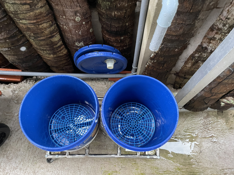 Chăm xe mùa dịch - Vệ sinh hốc bánh Chăm xe mùa dịch - Vệ sinh hốc bánh