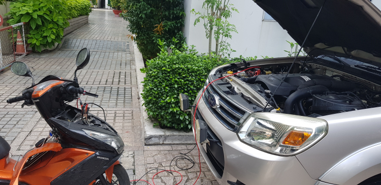 Những hình ảnh dở khóc dở cười của các xế hộp để lâu ngày mùa dịch Những hình ảnh dở khóc dở cười của các xế hộp để lâu ngày mùa dịch