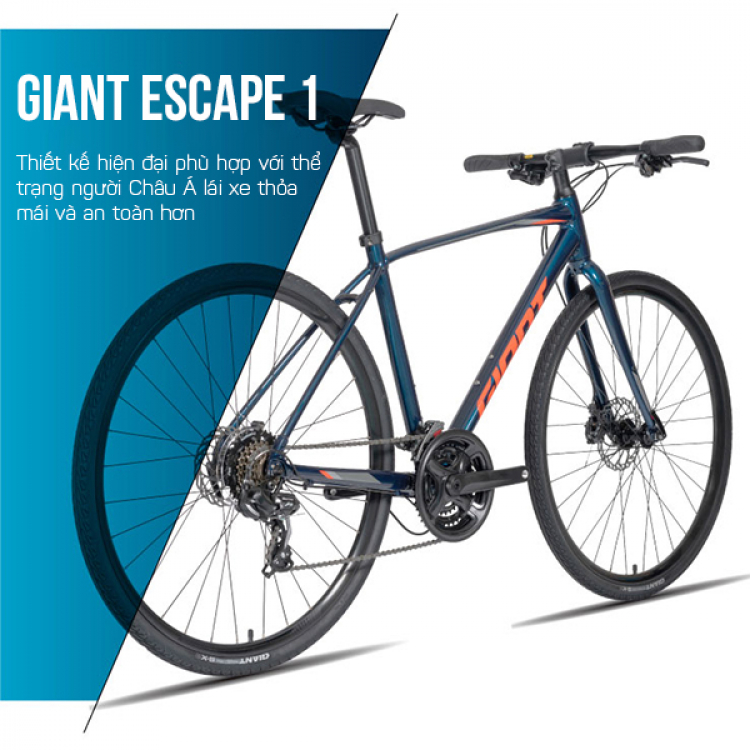 Xe đạp đường phố giant escape 1 2021