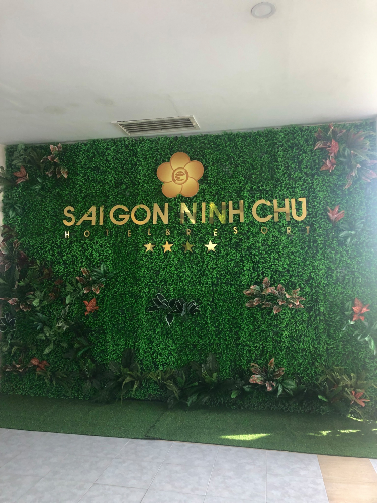 Phan Rang - Hè 2019 (4 xe du hí) Phan Rang - Hè 2019 (4 xe du hí)