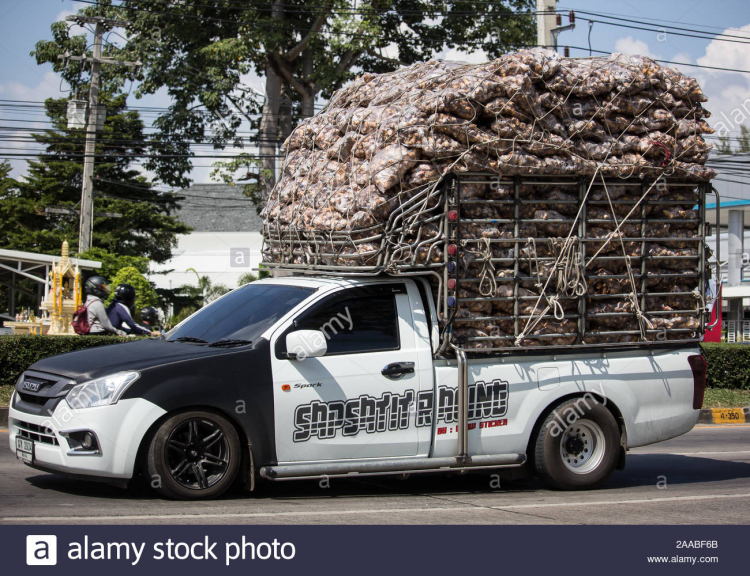 Isuzu D-max cabin đôi phiên bản cốt lõi - khi nhát kiếm chém xuống đôi chân