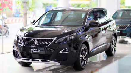 OS_PEUGEOT -2.jpg