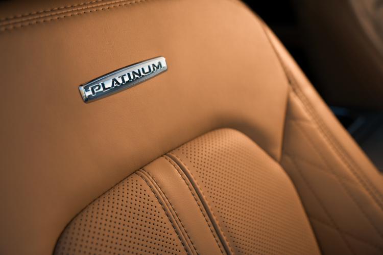OS_FORD PLATINUM-11.jpg OS_FORD PLATINUM-11.jpg