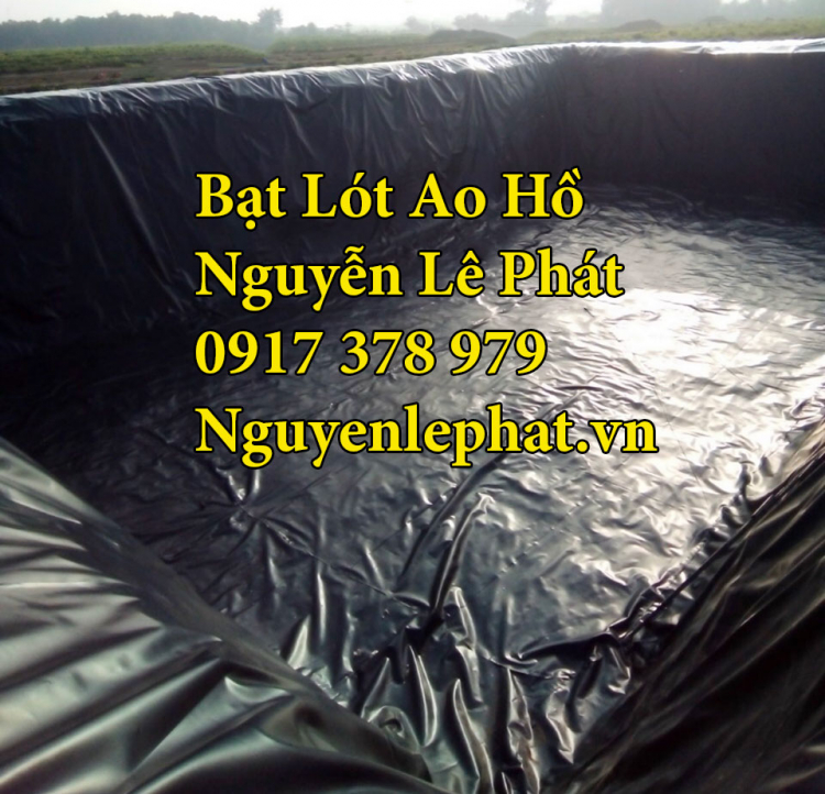 bat-lot-ao-ho-nuoi-tom-ca-oc1.jpg