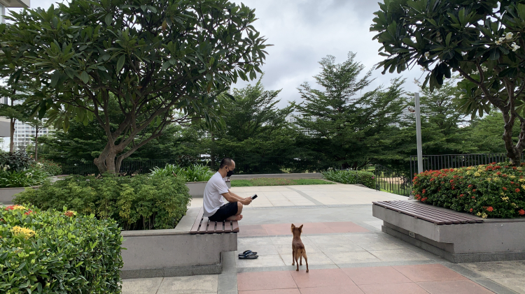 Chung cư đáng sống Chung cư đáng sống
