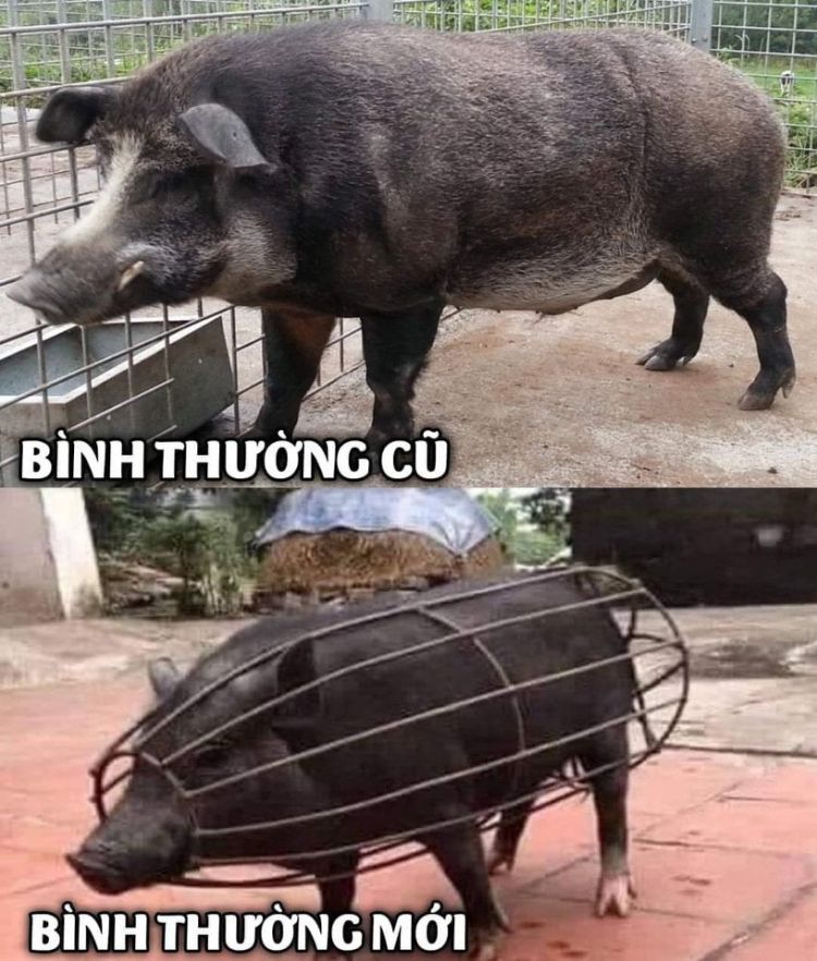 Tình hình đi lại sau 30/9 giữa các tỉnh thành phía Nam ra sao?