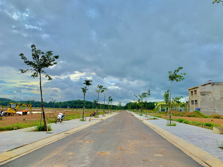 Triển khai GĐ2 dự án PNR ESTELLA 23 ha liền kề khu công nghiệp Sông Mây, Trảng Bom, Đồng Nai.