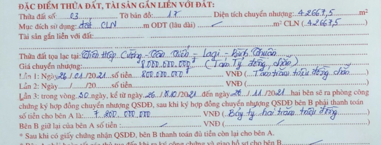 Hỏi xoáy. Đáp xoay