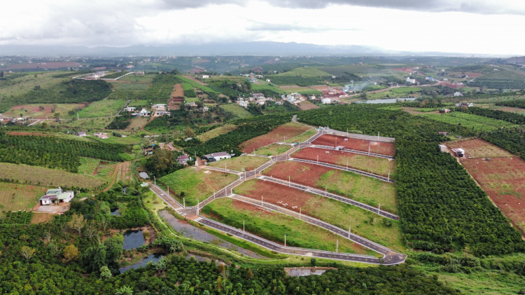 Thông tin xoay quanh BĐS Bảo Lộc.