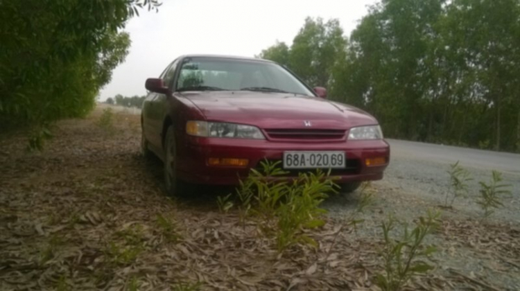 ACCORD CLUB : Bộ sưu tập ACCORDS 90-97 & Acura Legend 91- 95 !