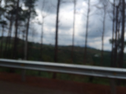 2015-05-14 15.04.28.jpg