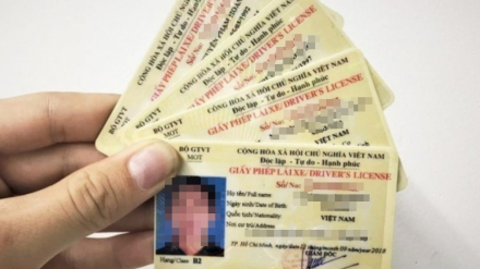 gplx-VN.jpg