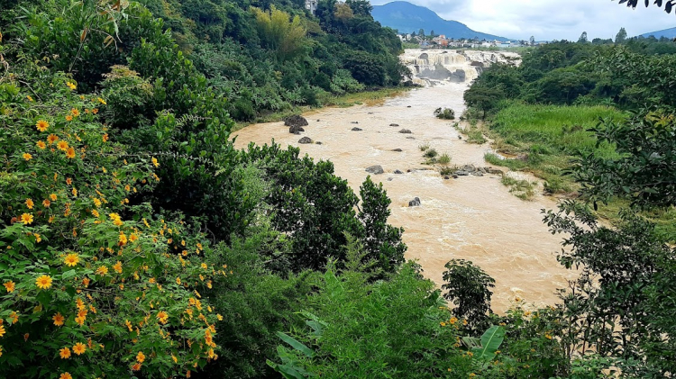 Tổng hợp các thớt về DALAT từ A đến Z Tổng hợp các thớt về DALAT từ A đến Z