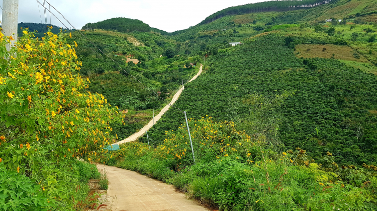 Tổng hợp các thớt về DALAT từ A đến Z Tổng hợp các thớt về DALAT từ A đến Z