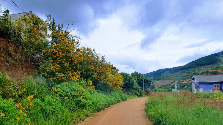 Tổng hợp các thớt về DALAT từ A đến Z