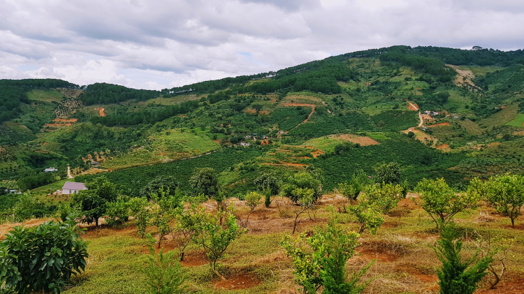 Tổng hợp các thớt về DALAT từ A đến Z