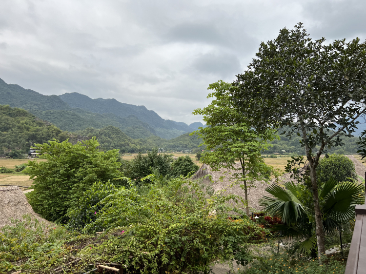 Roadtrip đường mòn HCM 11/2021 Roadtrip đường mòn HCM 11/2021