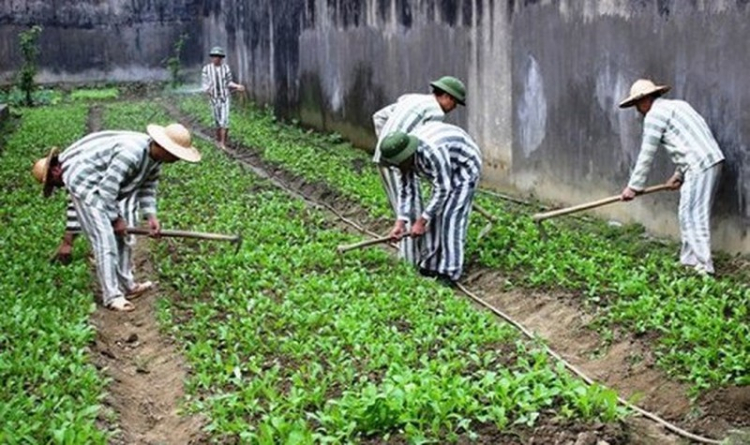 trại giam Cây Cầy 1