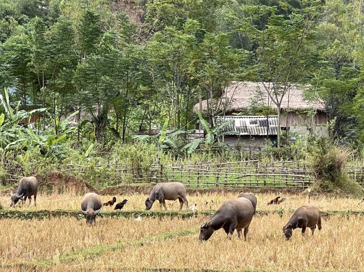 Roadtrip đường mòn HCM 11/2021