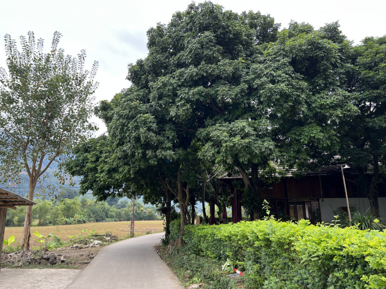 Roadtrip đường mòn HCM 11/2021 Roadtrip đường mòn HCM 11/2021