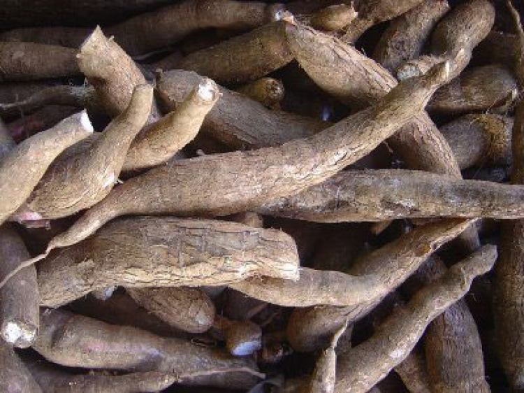 Những hình ảnh thời bao cấp Những hình ảnh thời bao cấp