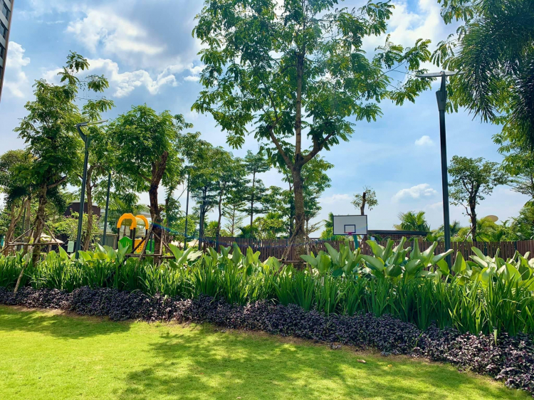 NÊN MUA PALM HEIGHTS HAY D`LUSSO ? NÊN MUA PALM HEIGHTS HAY D`LUSSO ?