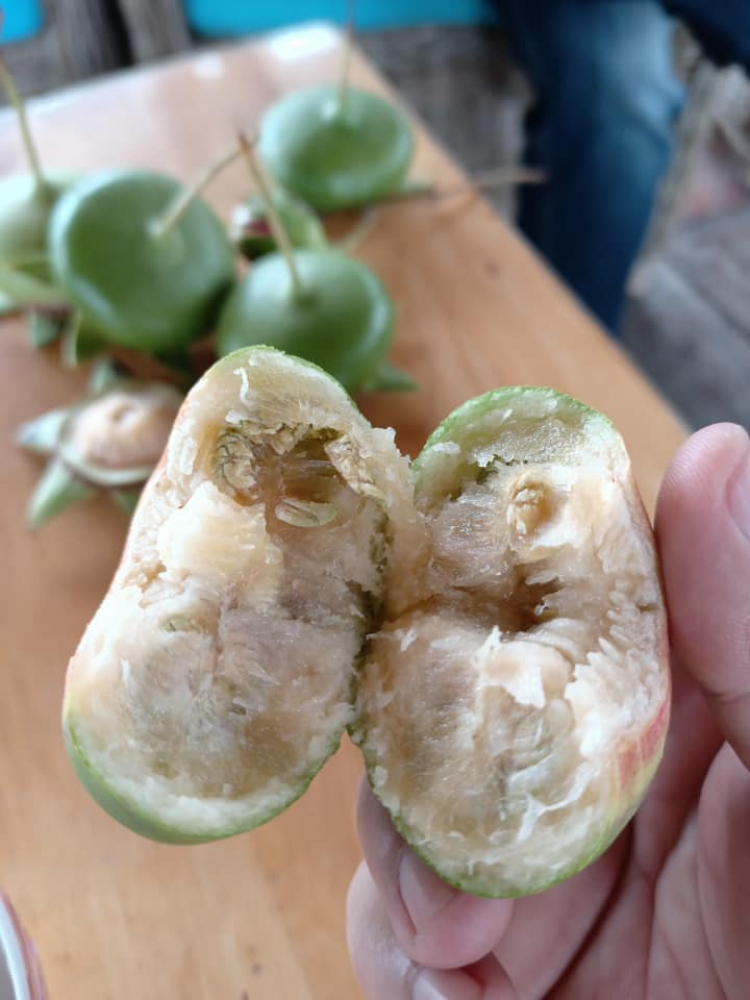 Nhờ Tư Vấn địa điểm du lịch Miền Tây dịp tết Tây ! Nhờ Tư Vấn địa điểm du lịch Miền Tây dịp tết Tây !