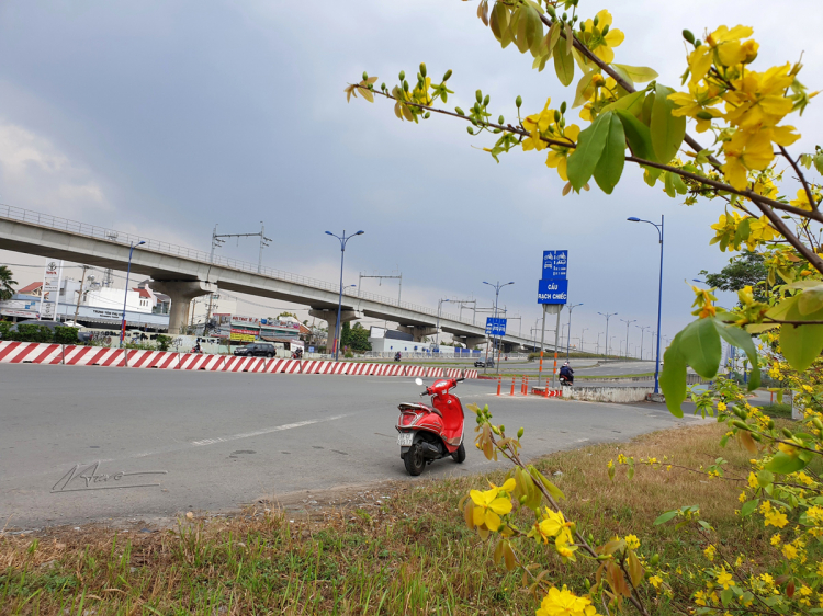 Xuân Nhâm Dần trên đường thiên lý