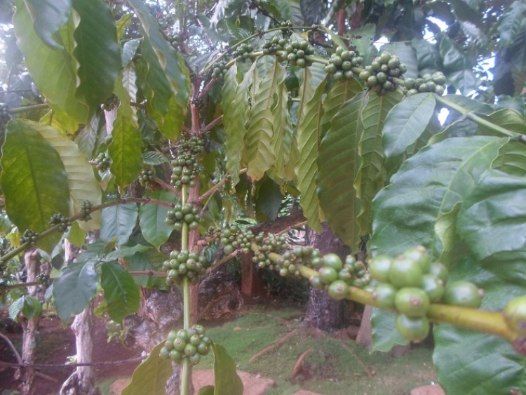 Xuyên Việt Hè 2015 Xuyên Việt Hè 2015