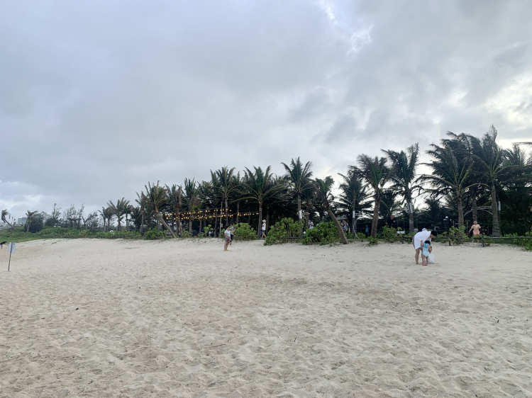 5AF0712B-E486-49B7-850E-FD396D4567B9.jpeg 5AF0712B-E486-49B7-850E-FD396D4567B9.jpeg