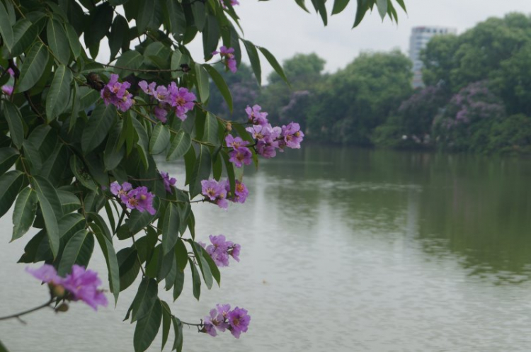 Câu lạc bộ chụp hình GMFC Câu lạc bộ chụp hình GMFC