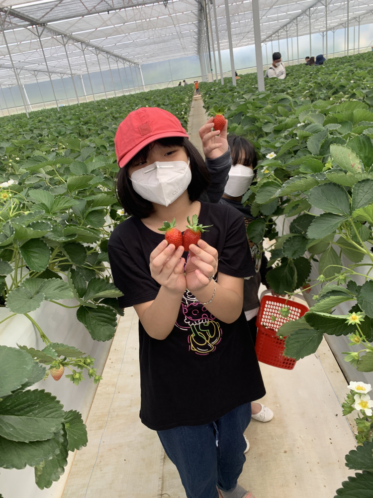 Tổng hợp các thớt về DALAT từ A đến Z Tổng hợp các thớt về DALAT từ A đến Z