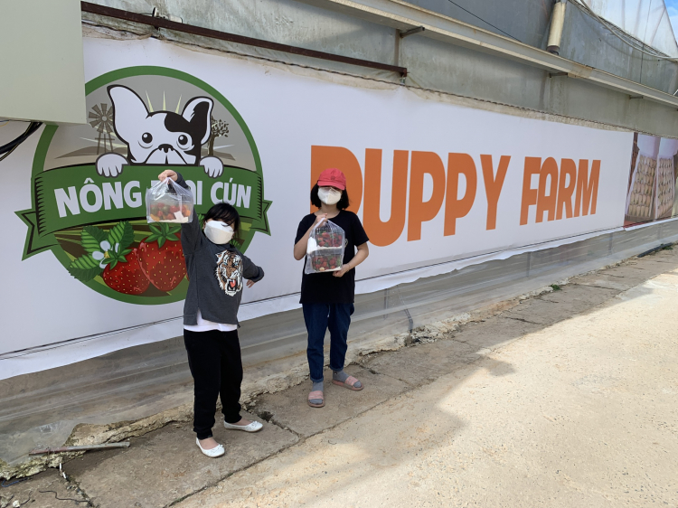 Tổng hợp các thớt về DALAT từ A đến Z Tổng hợp các thớt về DALAT từ A đến Z