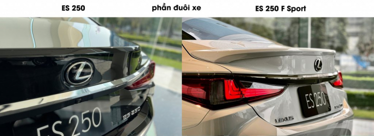 đuôi xe.jpg đuôi xe.jpg