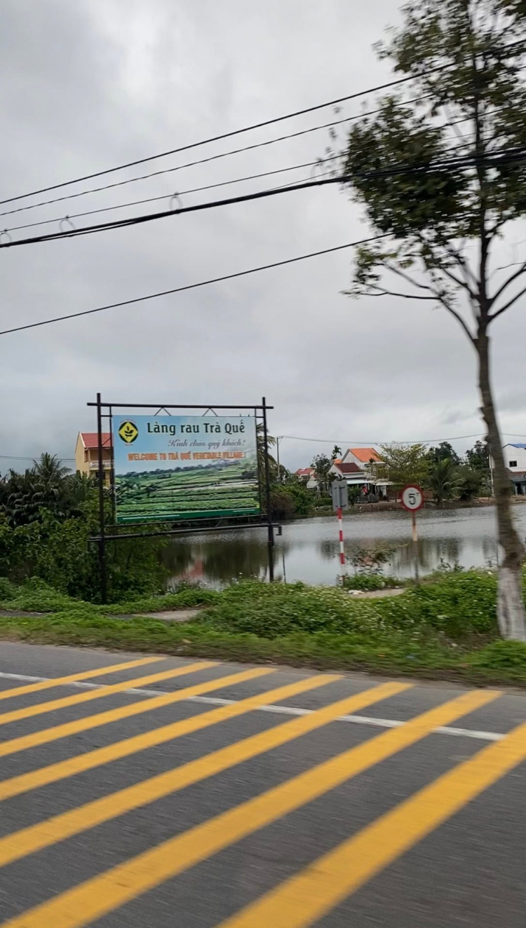 Du Xuân 2022 - Xuống biển lên Rừng (SG-Phú Yên - Đà Nẵng - Huế - Hội An - Măng Đen - Gia Lai - BMT-SG) Du Xuân 2022 - Xuống biển lên Rừng (SG-Phú Yên - Đà Nẵng - Huế - Hội An - Măng Đen - Gia Lai - BMT-SG)