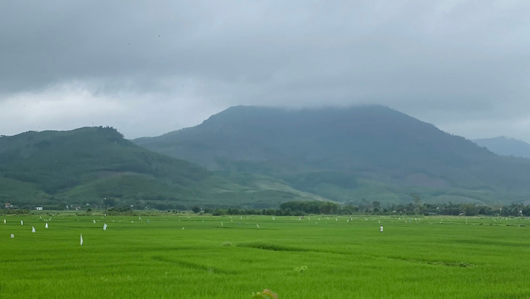 Du Xuân 2022 - Xuống biển lên Rừng (SG-Phú Yên - Đà Nẵng - Huế - Hội An - Măng Đen - Gia Lai - BMT-SG)