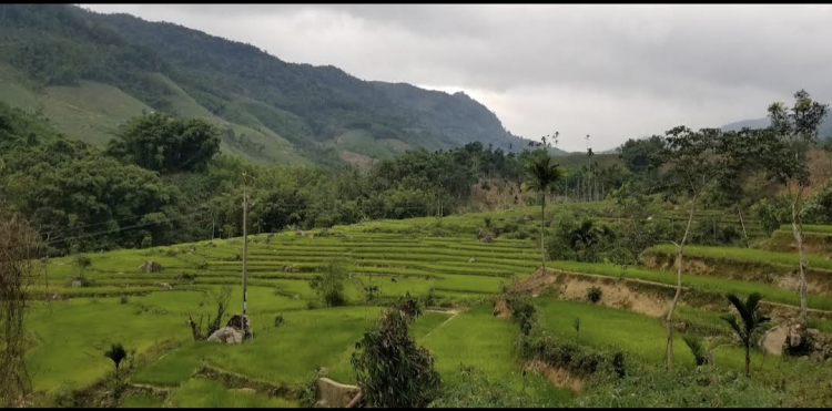 Du Xuân 2022 - Xuống biển lên Rừng (SG-Phú Yên - Đà Nẵng - Huế - Hội An - Măng Đen - Gia Lai - BMT-SG) Du Xuân 2022 - Xuống biển lên Rừng (SG-Phú Yên - Đà Nẵng - Huế - Hội An - Măng Đen - Gia Lai - BMT-SG)