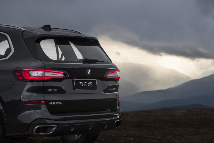 BMW-X5-xDrive40Li-8.jpg