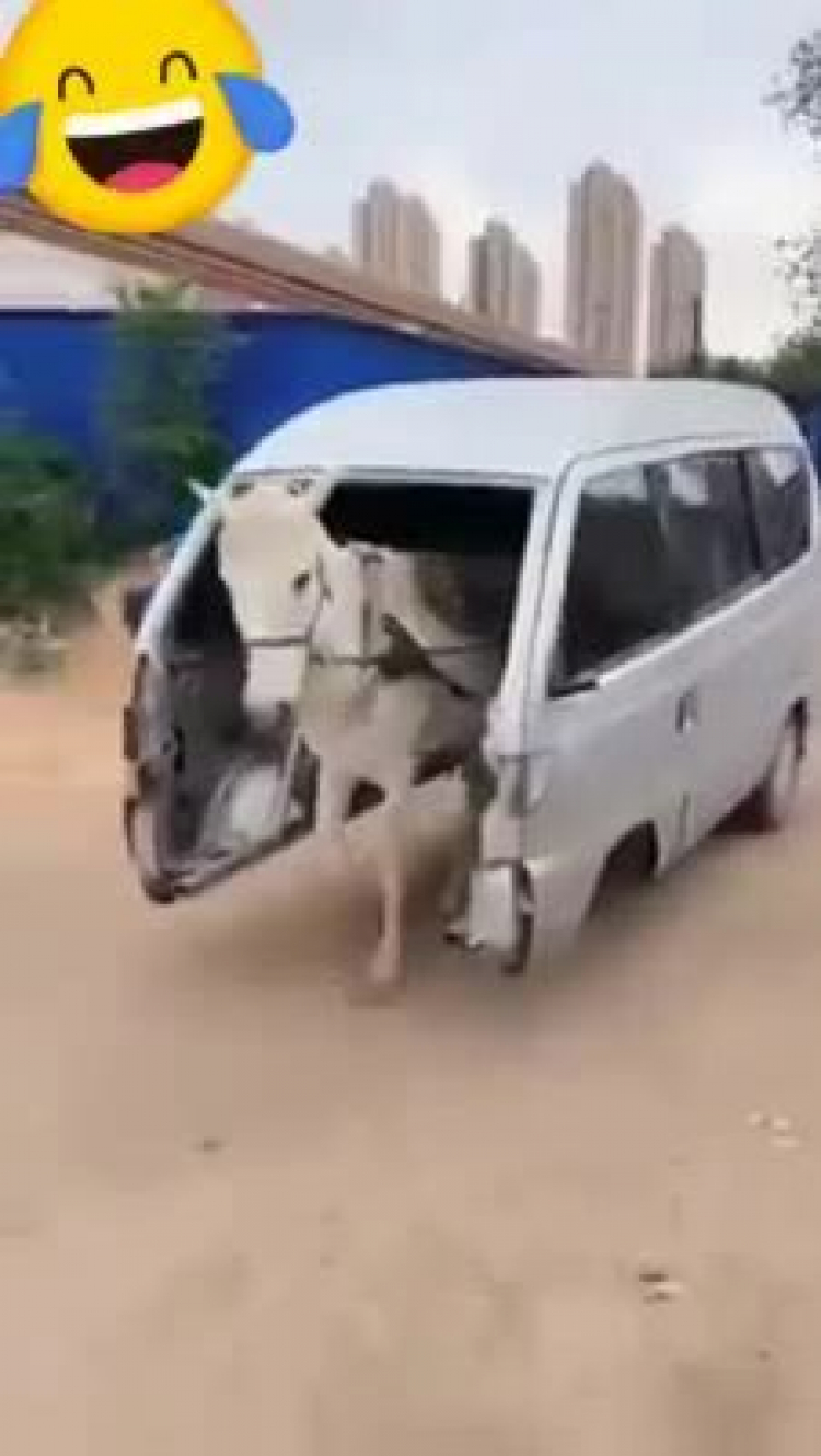 Giá xăng tiếp tục tăng lần thứ 7 liên tiếp, mức tăng mạnh khiến giá xăng sắp chạm mốc 30.000 đồng một lít Giá xăng tiếp tục tăng lần thứ 7 liên tiếp, mức tăng mạnh khiến giá xăng sắp chạm mốc 30.000 đồng một lít