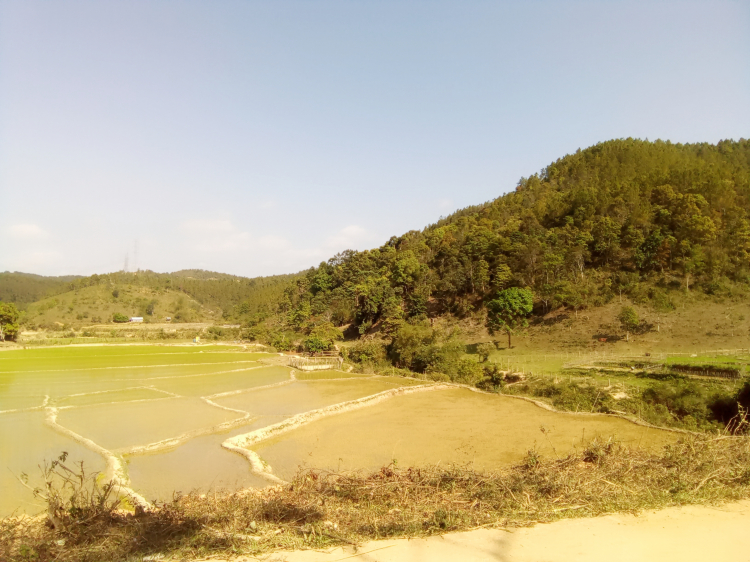 Thông tin xoay quanh BĐS Bảo Lộc.