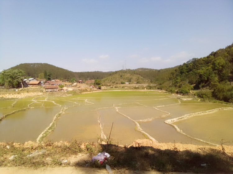 Thông tin xoay quanh BĐS Bảo Lộc.