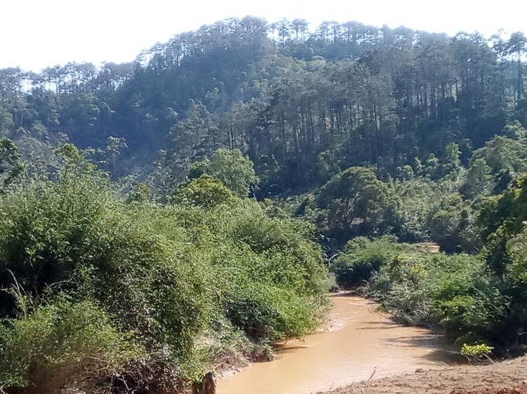 Thông tin xoay quanh BĐS Bảo Lộc.