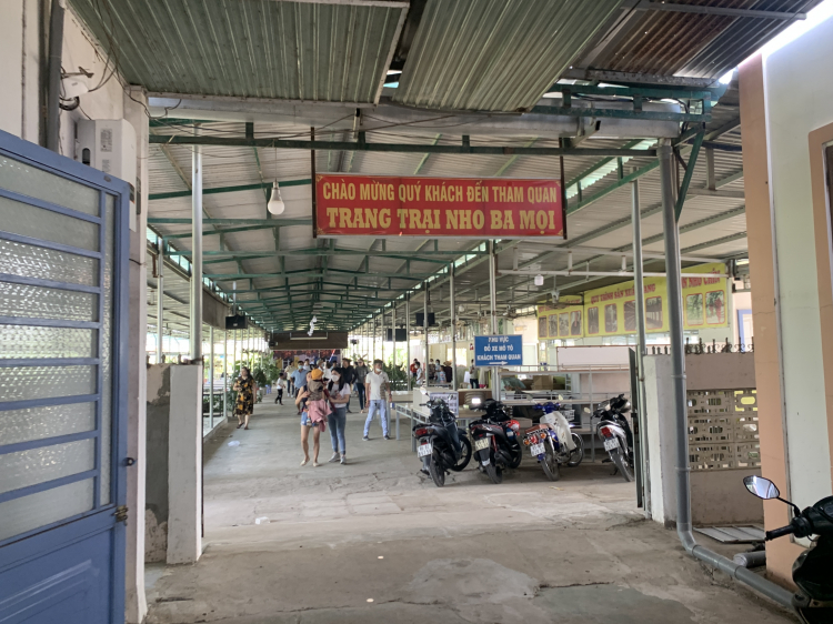 Muine Bay Resort ngày cuối tuần Muine Bay Resort ngày cuối tuần