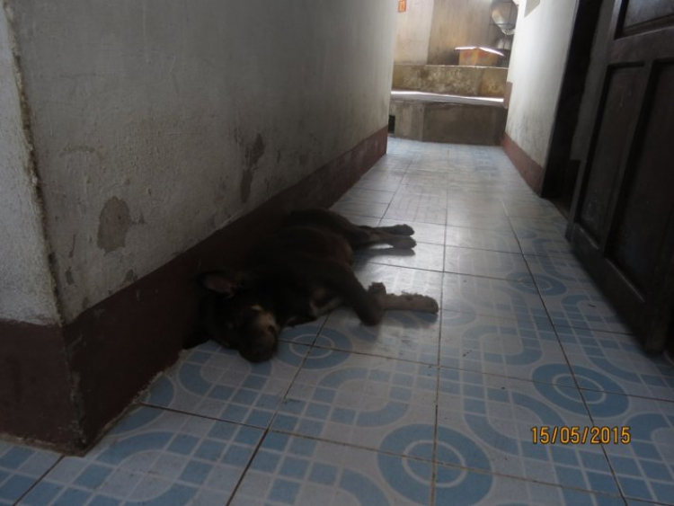 Đến với Trường Sa - sau 27 năm Đến với Trường Sa - sau 27 năm